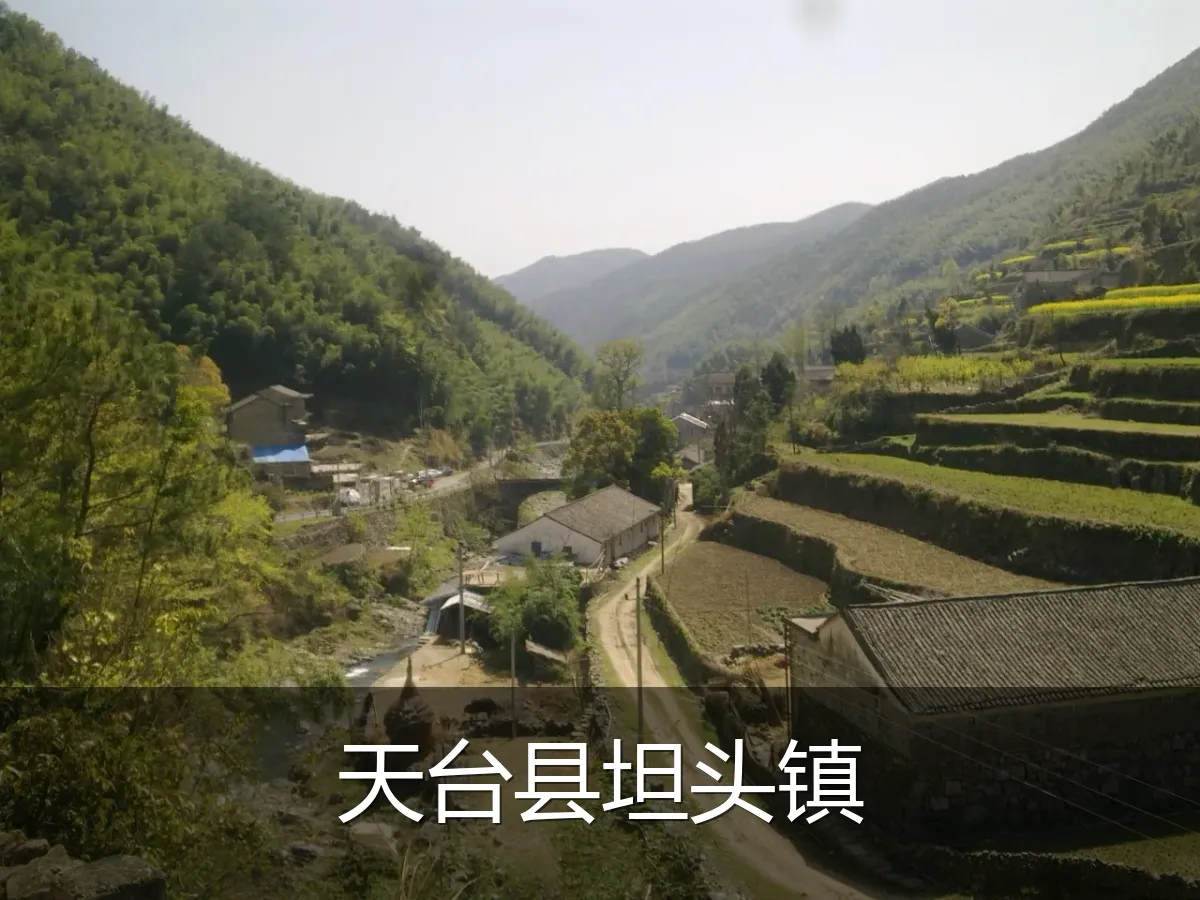 天台县坦头镇